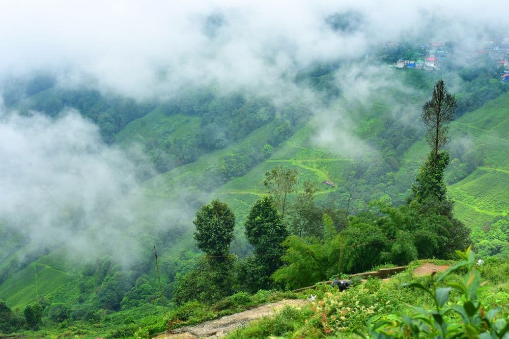 Sikkim & Darjeeling 3